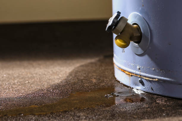 Best Water damage restoration near me  in Genoa, AR