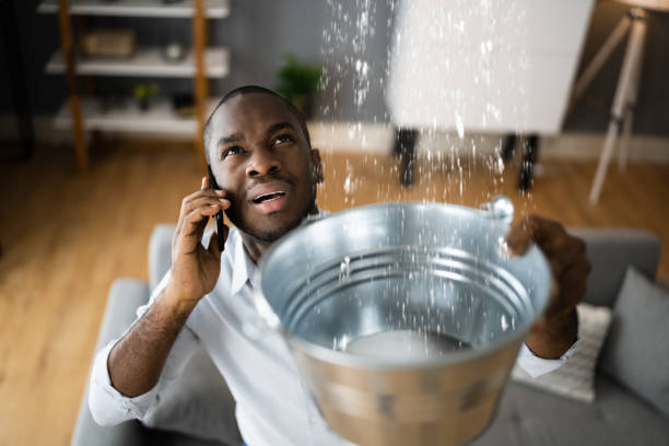 Best Mold removal after water damage  in Genoa, AR