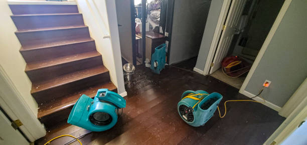 Local water damage restoration in AR