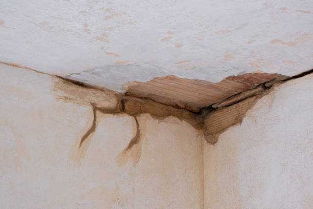 Best Basement water damage restoration  in Genoa, AR