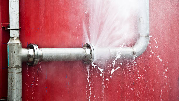 Best Water damage mitigation services  in Genoa, AR